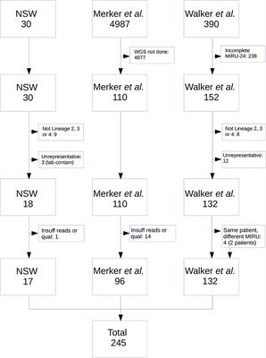 Extensive Homoplasy but No Evidence of Convergent Evolution of Repeat Numbers at MIRU Loci in Modern Mycobacterium tuberculosis Lineages